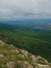 Biligirirangan Hills