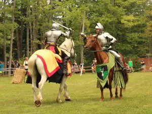 The Great Lakes Medieval Faire