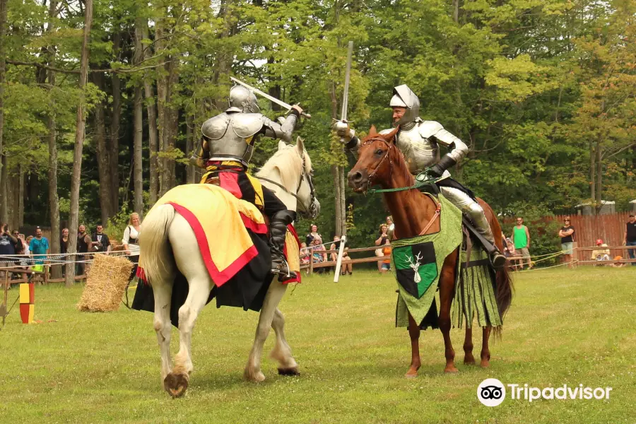 The Great Lakes Medieval Faire