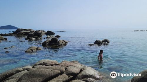 Spiaggia di Musculedda