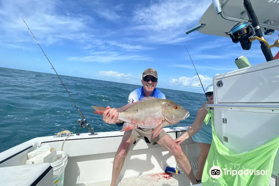 Fish Key West Florida Charters