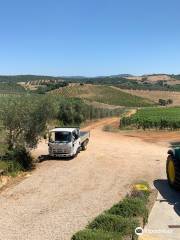 Societa' Agricola Il Ponte Cantina Vino