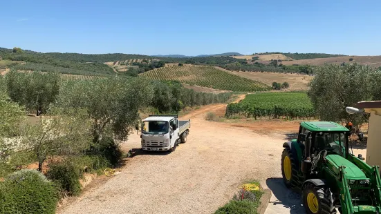 Societa Agricola Il Ponte