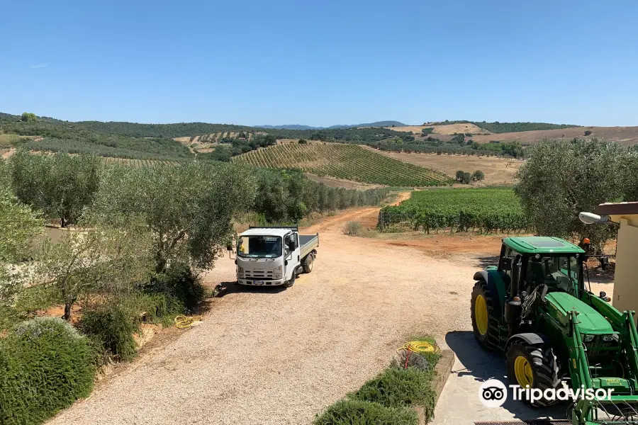 Societa' Agricola Il Ponte Cantina Vino