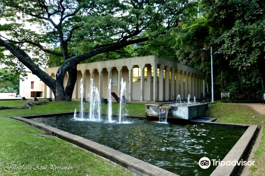 Museo La Tertulia