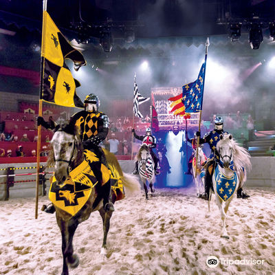 Medieval Times Dinner & Tournament