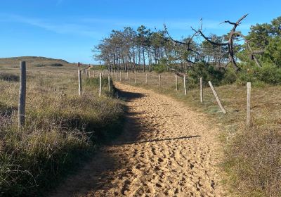 Dunes de la Gachere