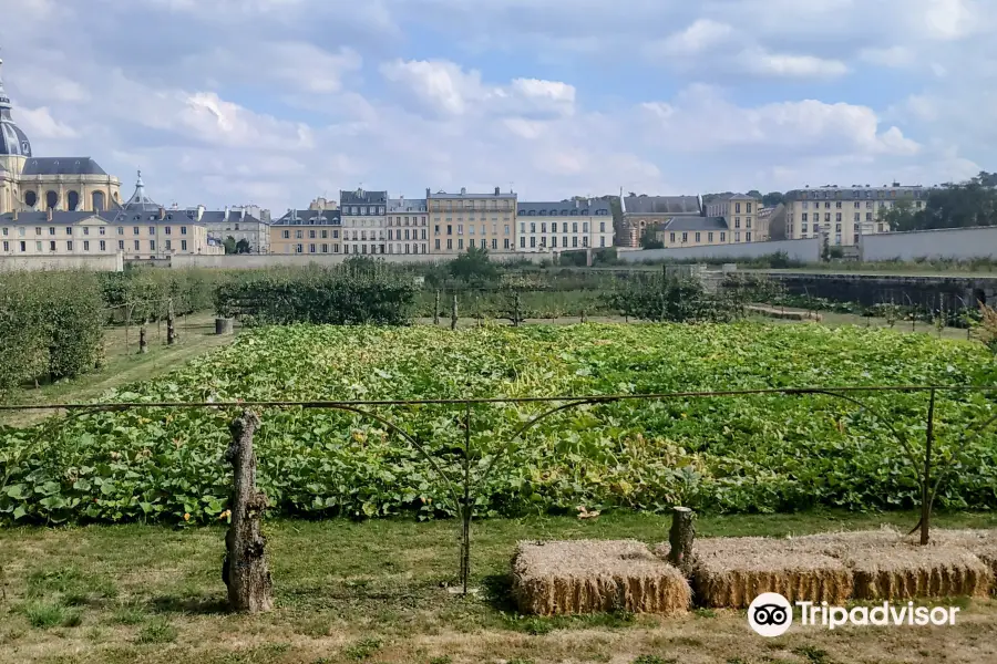 Le Potager du Roi