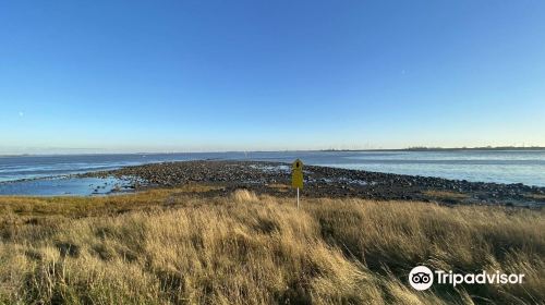 Eider Barrage