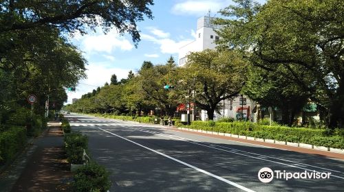 Daigakudori Street