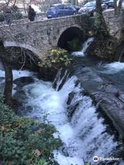 Springs of Krya