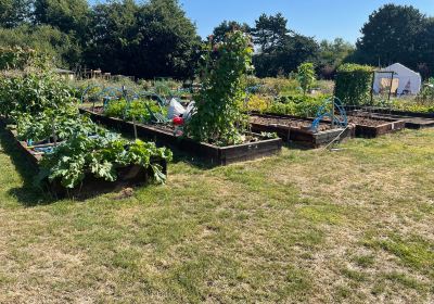 Goscote Greenacres Community Garden