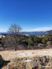 Volcan Mountain Wilderness Preserve