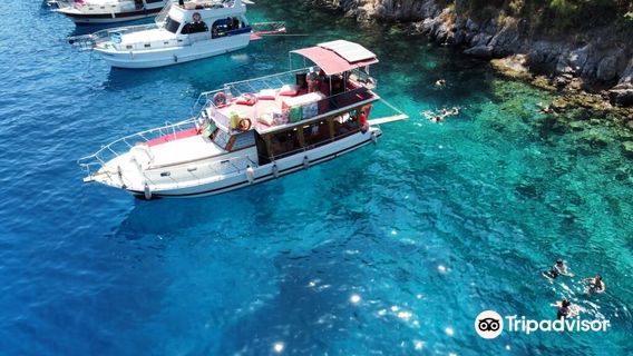 Freddy's Daily Boat Trip