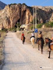 Cofano Trekking Horse Riding Sicily Occidental