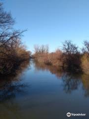 Tremblay Beach Conservation Area