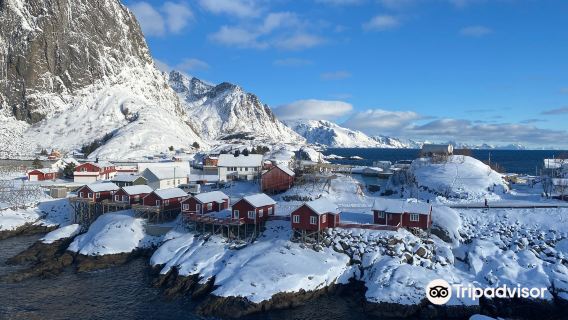 Lofoten East Island: Wooden Church + Reed Bay + Henningsvær + Eggum Paradise Beach