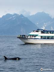 Kenai Fjords Tours