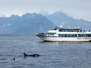 Kenai Fjords Tours