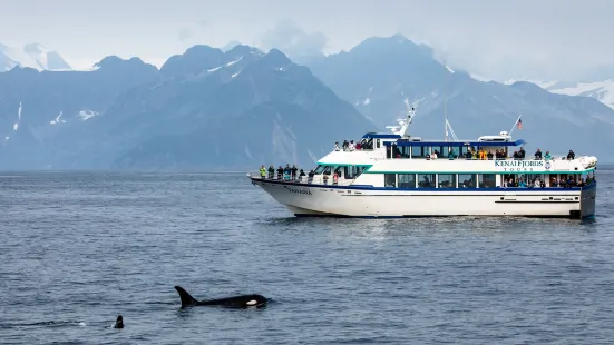 Kenai Fjords Tours