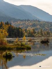 Cheam Lake Wetlands Regional Park