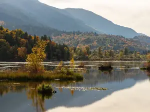 Cheam Lake Wetlands Regional Park