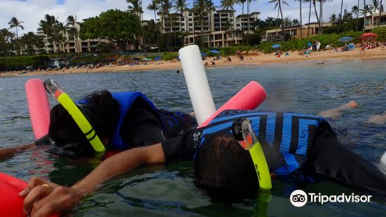 Shoreline Snorkel