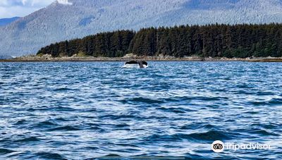 Jayleen's Alaska
