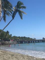 Playa Palenque