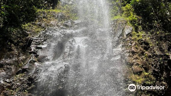 Wailua Kayak Adventures