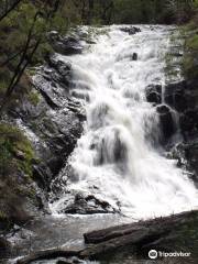 Beedelup National Park