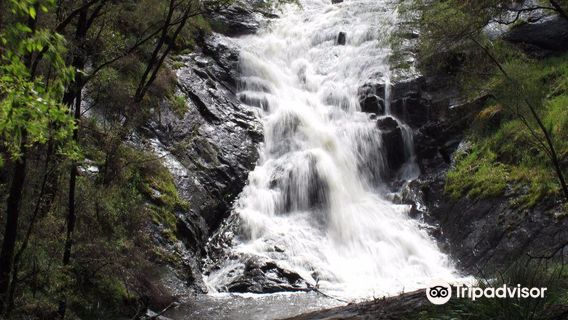 Beedelup National Park