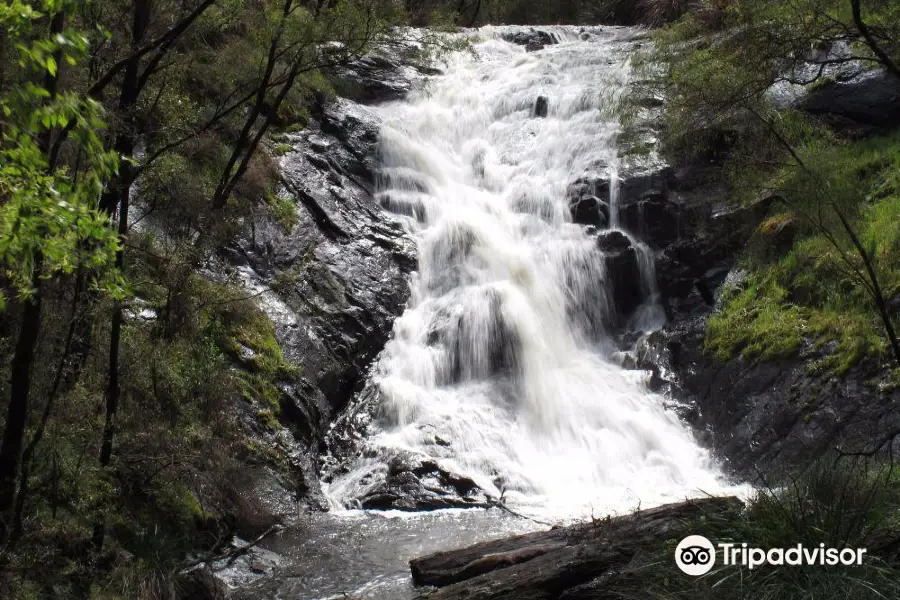 Beedelup National Park