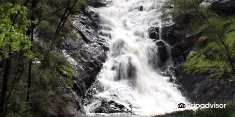 Beedelup National Park