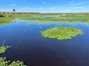 Paynes Prairie Preserve State Park