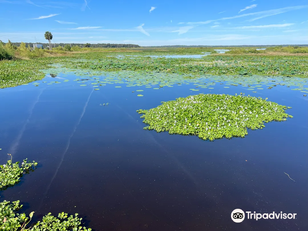 2_Paynes Prairie Preserve State Park