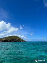 Buck Island Reef National Monument