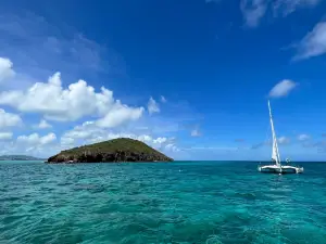 Buck Island Reef National Monument