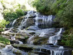 Nantahala National Forest
