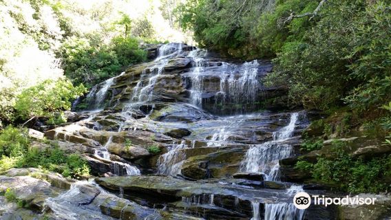 Nantahala National Forest
