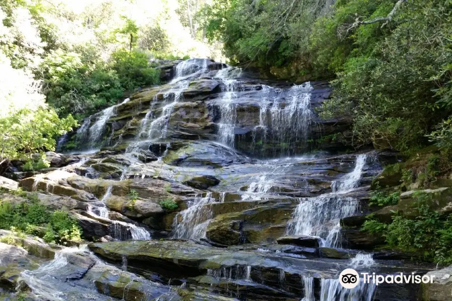 Nantahala National Forest