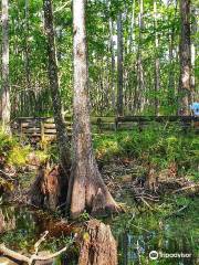 Six Mile Cypress Slough Preserve