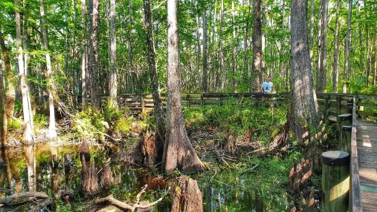 Six Mile Cypress Slough Preserve