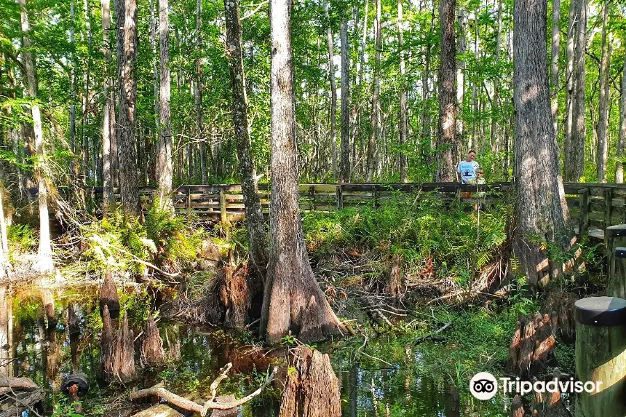 Six Mile Cypress Slough Preserve