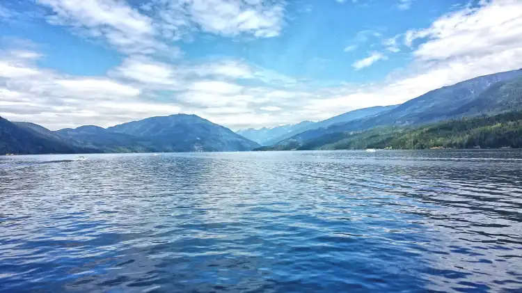 Salmon Arm