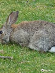 Kinderboerderij De Naturij