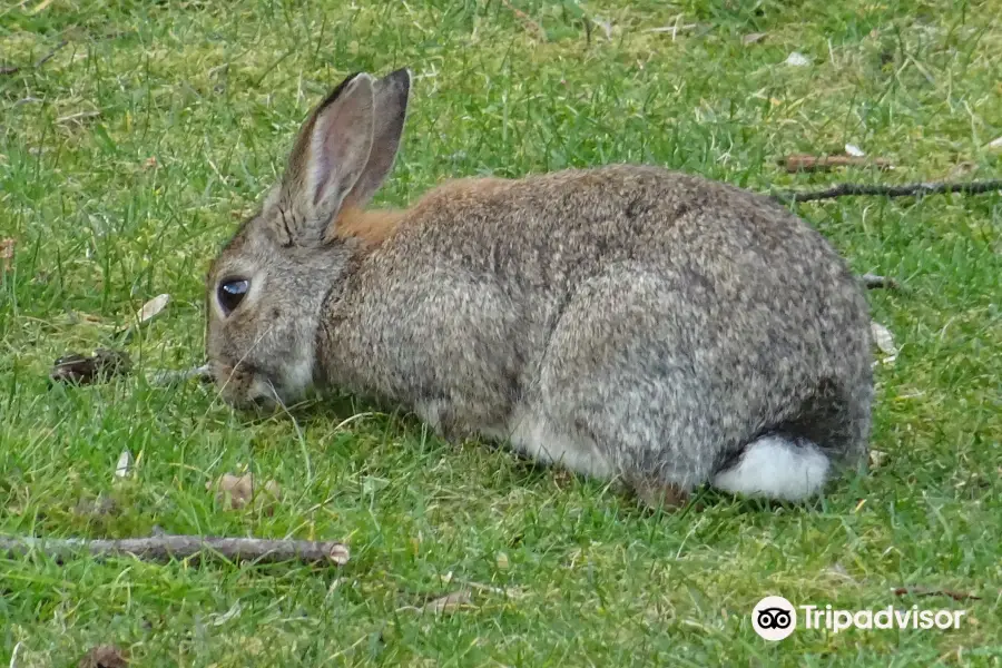 Kinderboerderij de Naturij