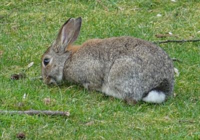 Kinderboerderij de Naturij