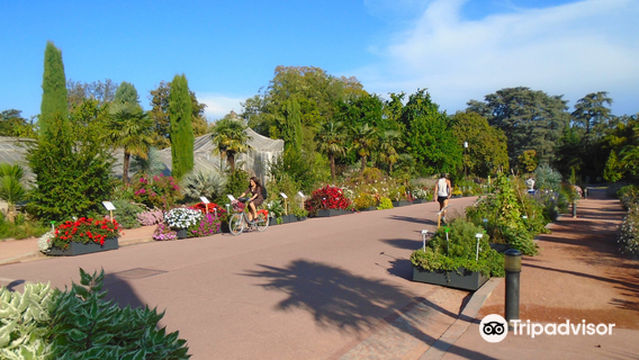 Lyon Botanical Garden