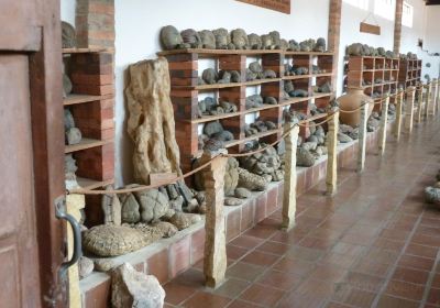 Museo Isaias Ardila Diaz